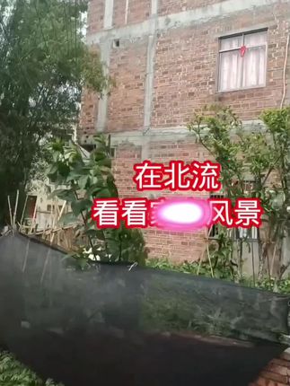 看下农村的风景
