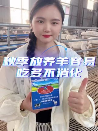 秋季长膘就用消食快#养羊 #养羊人 #养羊技术 #养羊创业