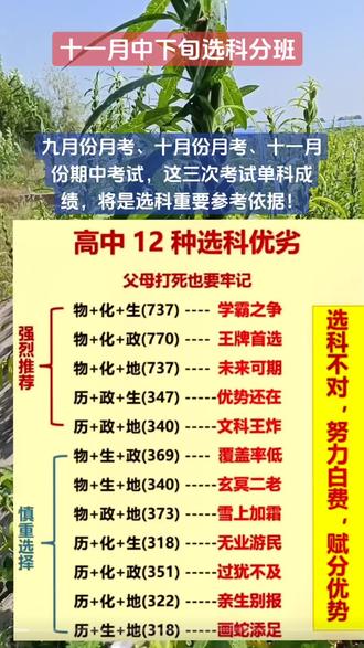 九月份月考、十月份月考、十一月份期中考试,这三次考试单科成绩,将是选科重要参考依据!#志愿填报#生涯规划#高考#中考#上热门🔥