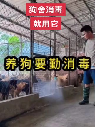 狗舍一定一定要消毒。给狗最舒服的环境,别让狗狗受罪。狗才会越来越好养!#养狗 #养狗的乐趣 #养狗经验分享 #养狗人的精神状态 #养狗人