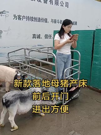 #落地母猪产床#简易母猪产床#产床漏粪板