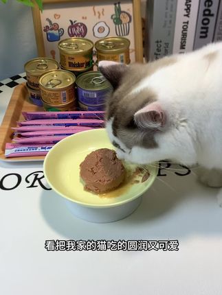 ODE大礼包,养宠姐妹刷到的赶紧囤!#养猫新手#零食推荐 #猫罐头 #萌宠好物#科学养宠攻略