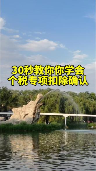 30秒教你你学会,2026年度个税专项扣除确认#个人所得税 #个税 #专项附加扣除 #保障师说社保