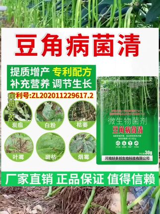 #豆角#病菌清#农业种植#蔬菜种植 #豆角种植技术 #豆角病菌清