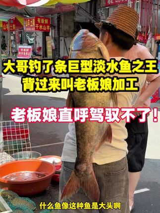 大哥钓了条巨型淡水鱼之王 背过来叫老板娘加工#杀鱼技术 #摆摊 #菜市场 #厨房菜刀