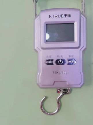 千确精准充电小型手提电子秤迷你高精度弹簧秤克称快递行李秤买菜#千确#电子秤#高精度#便携#手提