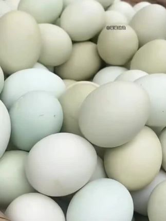 #土鸡蛋#绿壳土鸡蛋 #乌鸡蛋#农家散养土鸡