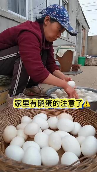 #腌蛋#腌鸡蛋#端午节腌蛋#腌鹅蛋 #自制咸鸭蛋配方