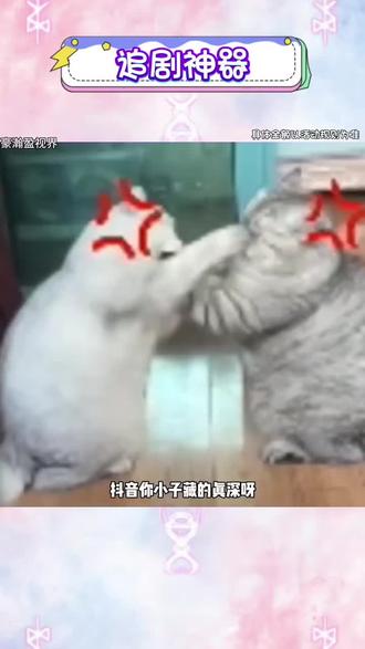 你小子藏得真深啊#悟空浏览器 #追剧神器 #电影 #电视剧 #万万没想到