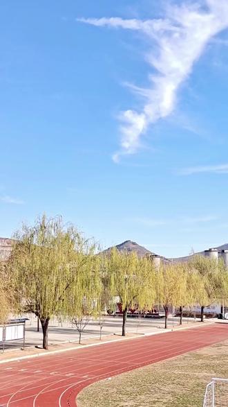 【原创作文】“校园要这样来写” #作文素材#学霸秘籍#教育机构#语文教育#教育