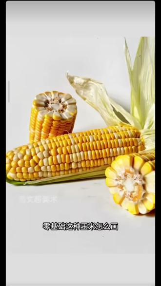 玉米素描画法#零基础学画画 #素描静物 #周文超美术 #美术生