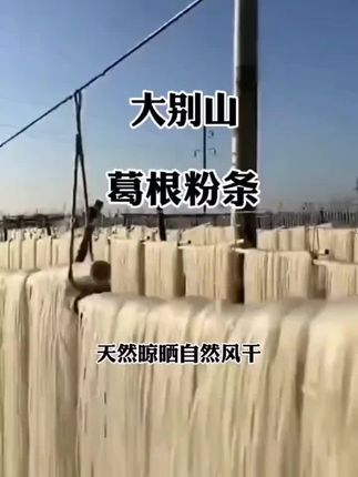 正宗大别山葛根粉条劲道爽口久煮不糊牛肉面#好物分享 #葛根粉 #葛根粉条 #粉条 #好吃到停不下来