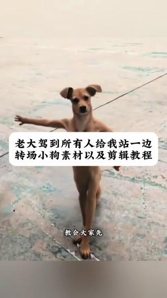 老大驾到所有人给我站一边转场小狗素材以及剪辑教程#所有人给我站一边 #老大驾到所有人给我站一边 #先天小狗圣体转场小狗 #先天小狗圣体特效教程 #剪映 老大驾到所有人给我站一边小狗 所有人给我站一边小狗素材 老大驾到小狗转场 老大驾到所有人给我站一边老大驾到所有人给我站一边原版 所有人给我站一边 老大驾到所有人给我站一边变装 老大驾到所有人给我站一边特效 老大驾到小狗转场教程 先天小狗圣体转场小狗素材 老大驾到小狗素材 老大驾到小狗转场 老大驾到小狗转场怎么做 老大驾到小狗动图 小狗特效转场教程 先天小狗圣体转场小狗 老大驾到小狗转场表情包 所有人给我站一边小狗素材 所有人给我站一边手势舞 所有人给我站一边小狗 所有人给我站一边原视频 所有人给我站一边转场小狗 所有人给我站一边特效教程 所有人给我站一边转场 先天小狗圣体转场小狗 所有人给我站一边转场小狗教程 所有人给我站一边转场小狗剪辑技巧 所有人给我站一边转场小狗 所有人给我站一边转场小狗打拳视频 小狗特效转场教程 先天小狗圣体转场小狗怎么剪辑 先天小狗圣体转场小狗怎么拍 小狗挥手立正原视频 先天小狗圣体转场小狗素材 先天小狗圣体转场小狗特效 先天圣体转场特效怎么拍 所有人给我站一边小狗素材 先天小狗圣体转场小狗素材无水印 小狗打拳转场 小狗打拳 ai生成 小狗打拳原视频 先天小狗圣体小狗特效 先天小狗圣体特效变狗 先天小狗圣体特效教程特效 先天小狗圣体转场小狗怎么剪辑 先天小狗圣体特效变狗素材 小狗特效转场教程 先天小狗圣体视频剪辑教程
先天小狗圣体怎么剪辑模板 先天小狗圣体专场自己怎么剪辑
先天小狗圣体剪辑模板 先天小狗圣体视频素材 先天小狗圣体拍摄教程 先天小狗圣体剪辑教程男 先天小狗圣体怎么剪辑图片先天小狗圣体视频剪辑 小狗打拳转场特效 小狗打拳转场 小狗打拳原视频 小狗打百家拳 小狗打拳表情包 所有人给我站一边小狗创意转场 所有人给我站一边怎么剪辑 小狗转场视频怎么制作