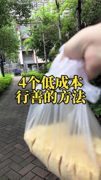 4个低成本行善的方法#日行一善#了凡四训#喂小鸟#传统文化