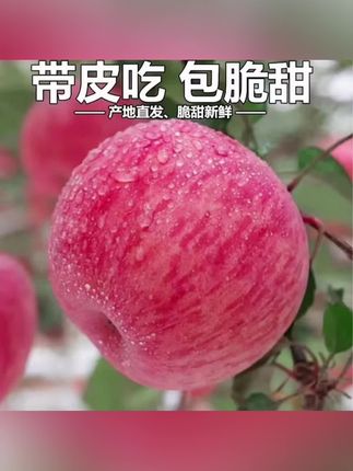 #苹果 #又脆又甜又多汁 【五斤送五斤】陕西洛川红富士新鲜苹果皮薄肉厚脆甜可口5-10斤#陕西红富士苹果 #新鲜采摘 #脆甜可口