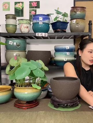 平价紫砂呀,种花,养鱼不在话下~ 喜欢的花友可以直接入,性价比很高#鱼缸 #水培花盆 #碗莲花盆 #无孔花盆
