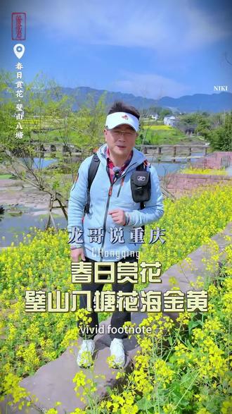 龙哥说重庆 春日赏花宝藏地,璧山八塘!龙哥强烈推荐,和美乡村最好的模样!趁这几天天气好,赶紧行动吧!#重庆dou知道 #重庆美好推荐官 #重庆旅游攻略 #春天 #春天的味道