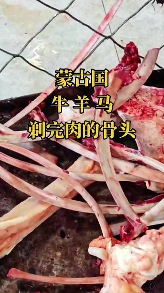 蒙古牛羊马肉!#宏仔商贸