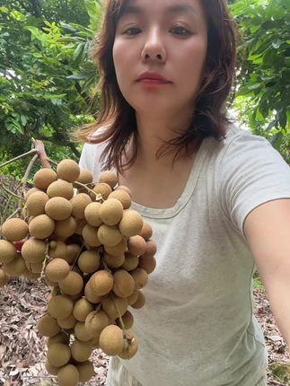 莆田松风本(脆甜,脆甜),中秋送礼,好看,好看,冲冲冲!邮寄统统来#户外采摘 #农村的生活 #采摘乐趣 #新鲜水果
