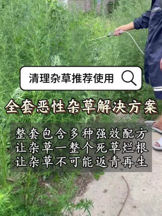 #芦苇烂根 #牛筋草 #非耕地除草 #稗草 #除草剂