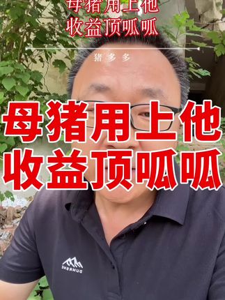 #养猪人 #母猪