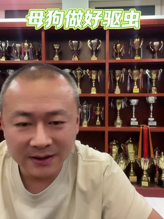 母狗孕前要做好驱虫,母狗🤰的时候可以驱虫吗? #狗狗驱虫 #新手养狗 #乌拉老爹