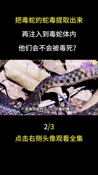 把毒蛇的蛇毒提取出来,再注入到毒蛇体内,他们会不会被毒死?