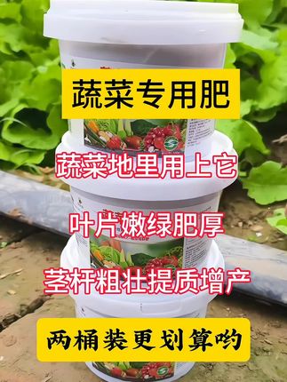 #蔬菜种植 #蔬菜专用肥 #增产增收 #有机肥 #种植小技巧