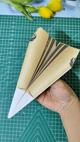 青少年竞赛纸飞机之狌狌号纸飞机,步骤简单详细一学就会#纸飞机 #折纸飞机 #悦爱折纸飞机 #折纸 #纸飞机的520种折法