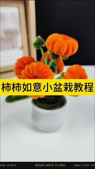 车载柿柿如意小盆栽教程