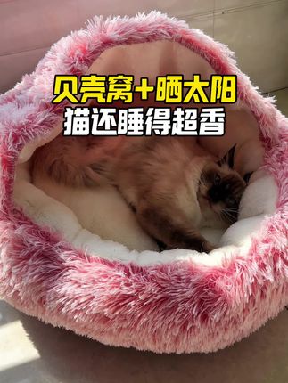 #萌宠 #狗狗的迷惑行为 #养狗人的日常 #科学养宠攻略 #养宠进阶指南