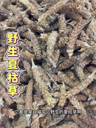 #夏枯草 #夏枯草煮鸡蛋