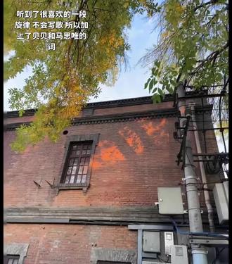 #落日 贝贝 一见钟情