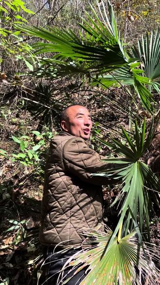 发个三声坎子乐一乐,祝大家年底赚钱多又多