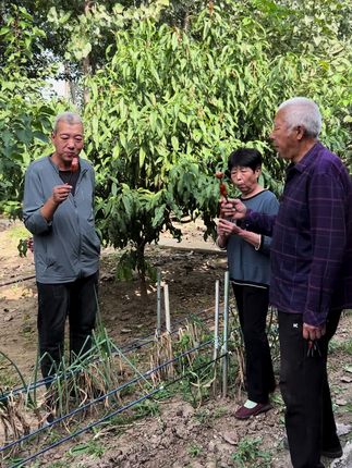#我的乡村生活