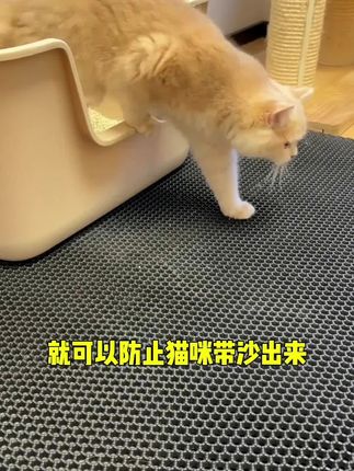 有了控砂垫就不怕猫咪带砂出来了!#控砂垫 #萌宠好物