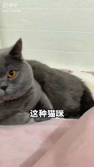 #拔罐猫 #阴间视频 #艾特你的好友
兄弟们开武魂😡😡😡