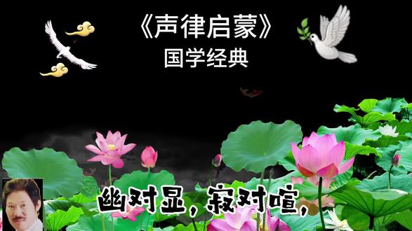 谁的童年DNA启动了?《声律启蒙》的琅琅书声,既是启蒙的钥匙,也是藏着千年文化的宝藏。#国学启蒙 #育儿早教启蒙 #传统文化传承 #汉语之美#声律启蒙十三元 @抖音小助手