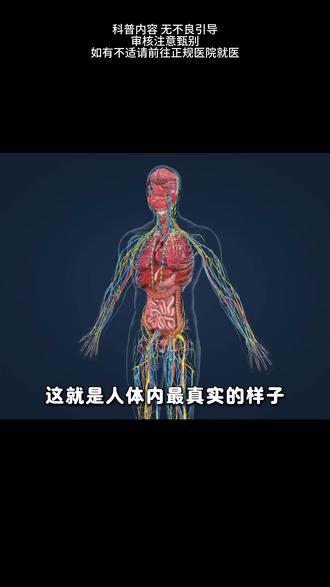 这是人体内真实的样子。 #DK人体大百科 #人体结构 #健康科普 #好书推荐 #科普知识