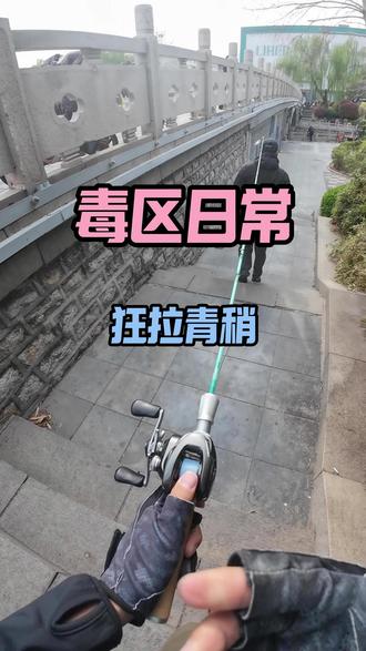 野钓钓出黑坑感 #路亚 #钓鱼 #AWM长白山 #AWM新品 #玻纤竿