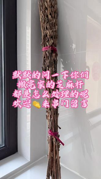 #上热门话题🔥🔥🔥 搬完家的有知道芝麻杆咋处理的吗?俗话说:财开门,节节高,我愣是动都不敢动一下😂😂😂 #生活小技巧学会你就捡到宝了 #抖音二创激励计划 #知识科普