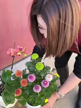 见过赏花的,没见过偷花的#工厂一手货 #秋冬新款马甲