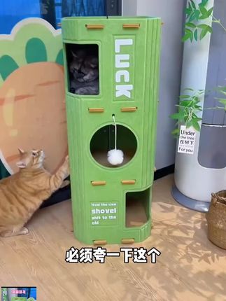 #猫抓板猫窝 多层猫窝猫爬架夏季降温猫树一体猫咪树洞猫抓板四季猫别墅猫房子#多层猫爬架 #猫别墅
