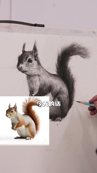 零基础也能学的小松鼠,快来点赞收藏一起学习吧!#画画 #美术生 #素描 #中高考美术