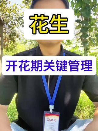 科学种出好花生!#花生 #花生种植 #花生高产 #花生管理 #农民种地不容易