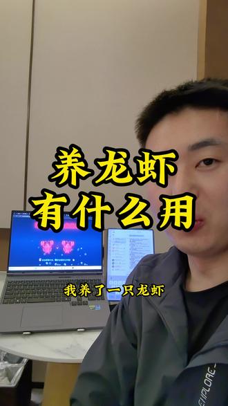 养龙虾都能做什么#养龙虾 #openclaw #AI #一人公司 #skills