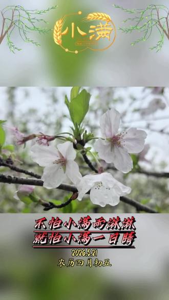 小满时节,听听农谚是怎么说的#二十四节气#小满#涨知识