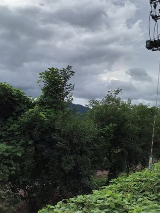 #风雨无阻#《橱窗有好物》#阴天的诗