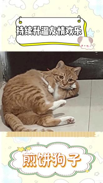 持续升温友情欢乐#多闪app #小火人AI聊天 #多闪