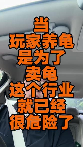 当玩家养龟是为了卖龟,这个行业就像已经很危险了#麝香龟#蛋龟#郁金香泡沫